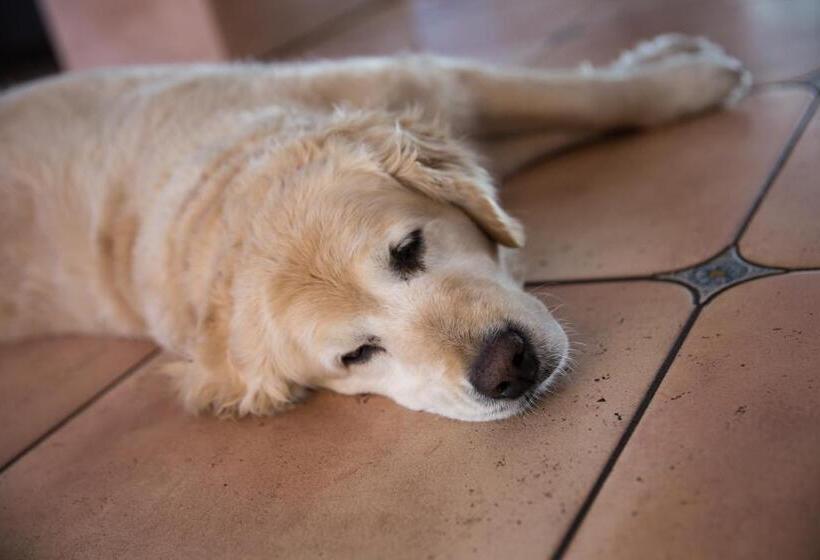 فندق Garni Mühlenhof