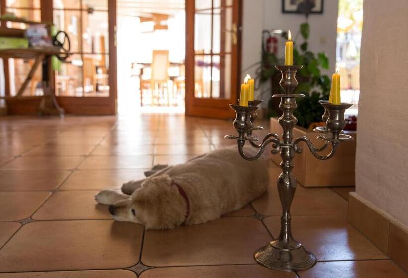 فندق Garni Mühlenhof