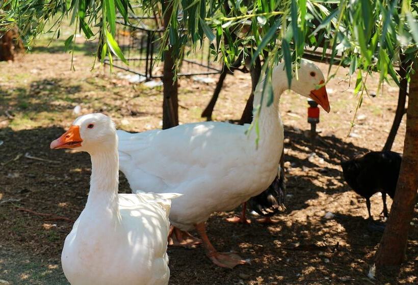 Отель Werneths Landgasthof Hirschen