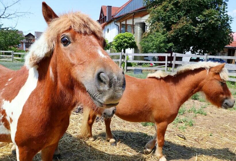 Отель Werneths Landgasthof Hirschen