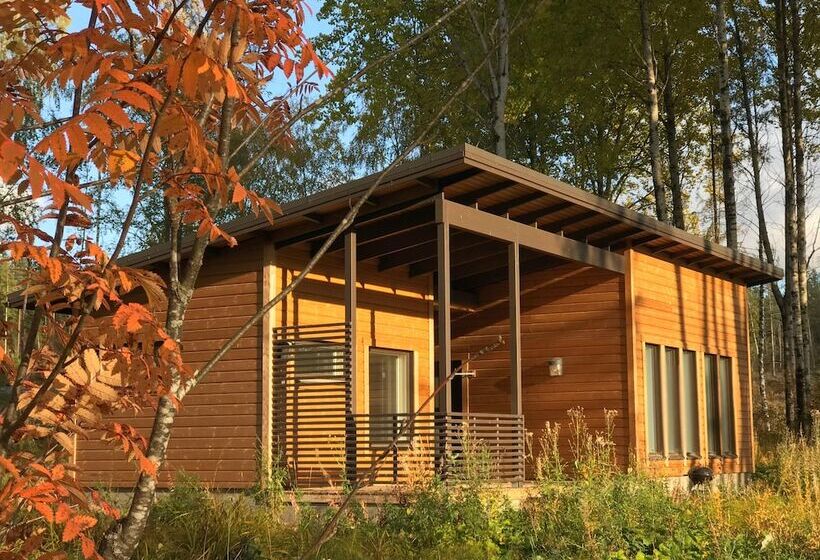 Отель Wooddream