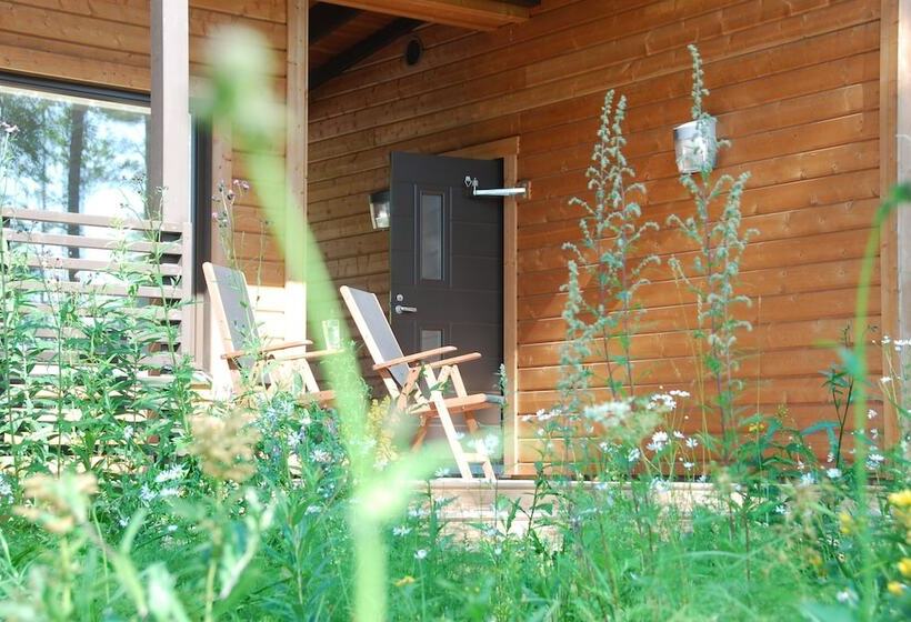 Отель Wooddream