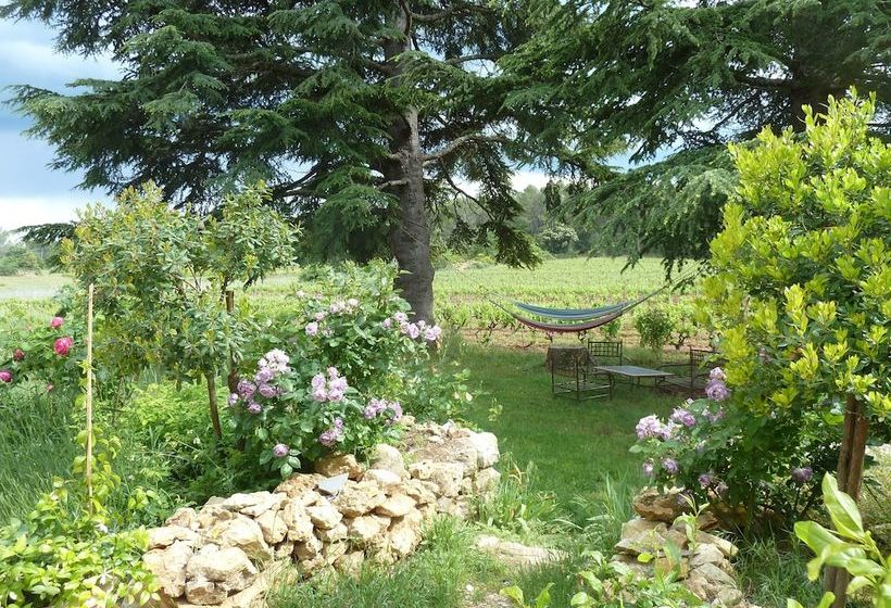 Les Vignes De Terrisse