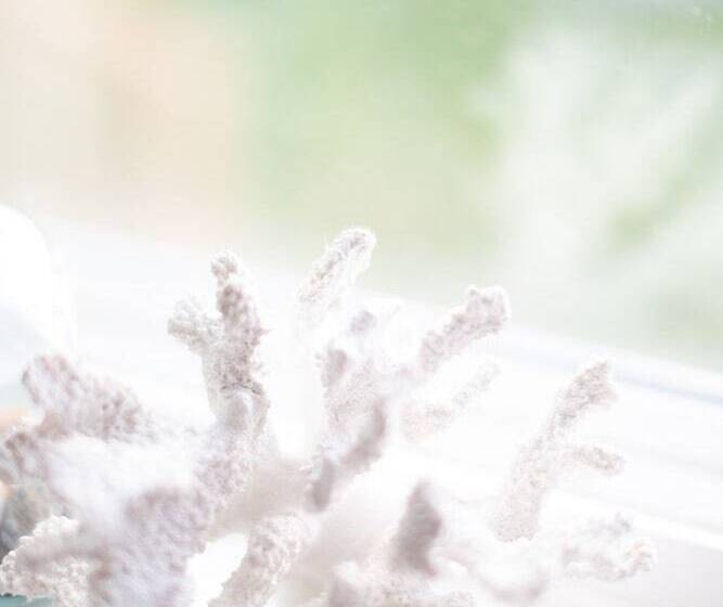 Lighthouse Lane Cottages