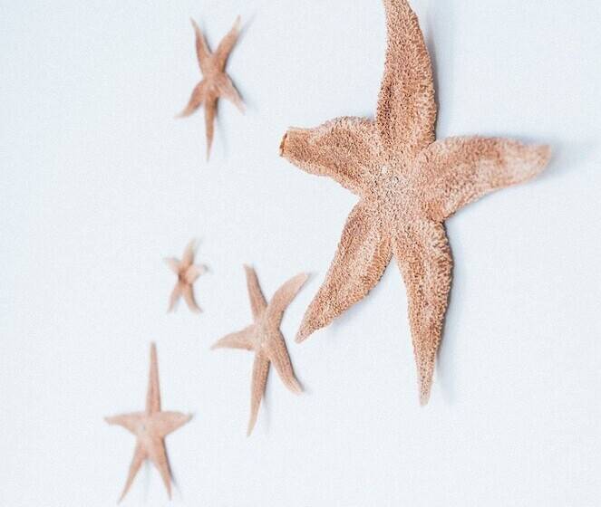 Lighthouse Lane Cottages