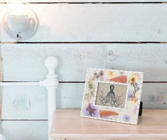 Lighthouse Lane Cottages