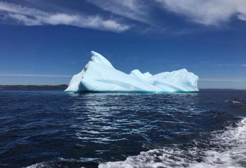 فندق على الطريق Raleigh Rooms & Taylor S Crafts