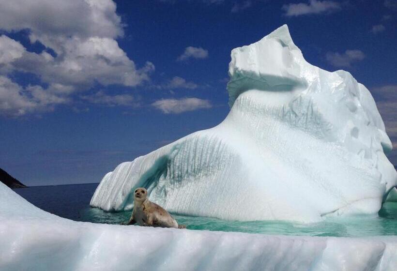 فندق على الطريق Raleigh Rooms & Taylor S Crafts