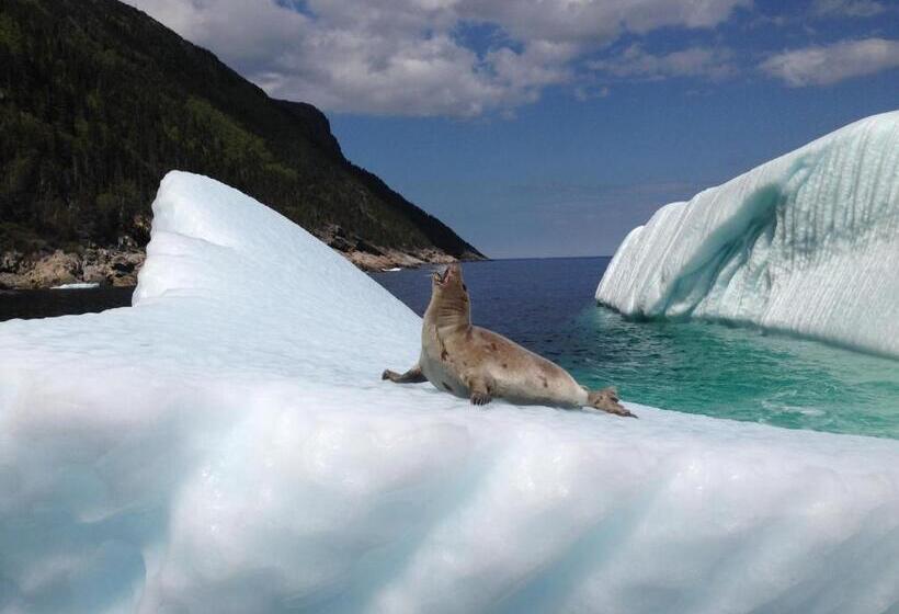 فندق على الطريق Raleigh Rooms & Taylor S Crafts