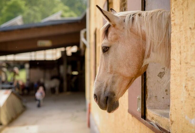 Nengshof   Haus Königskerze
