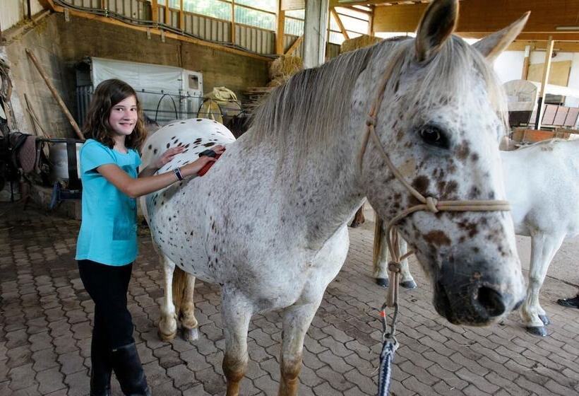 Nengshof   Haus Königskerze