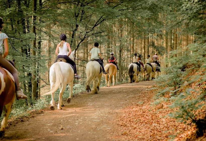 Nengshof   Haus Königskerze