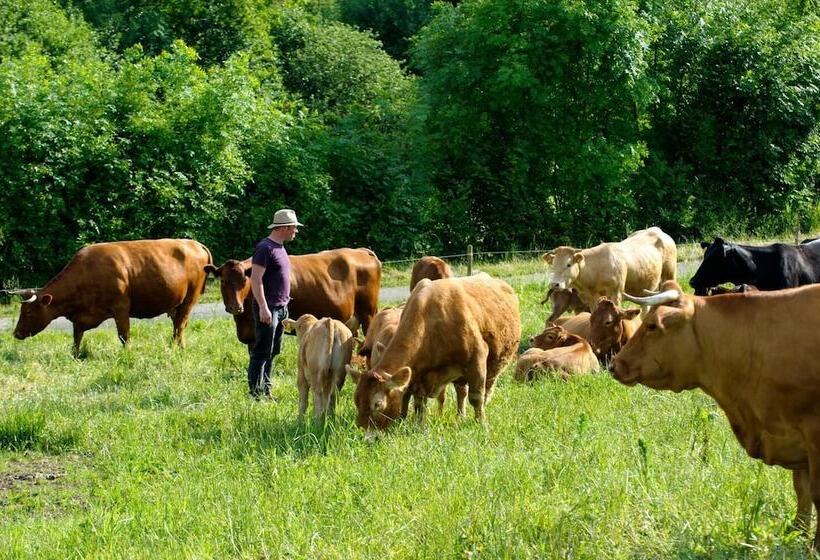 Nengshof   Haus Königskerze
