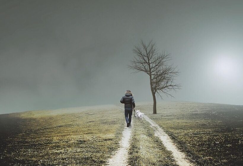 Nengshof   Haus Wildrose