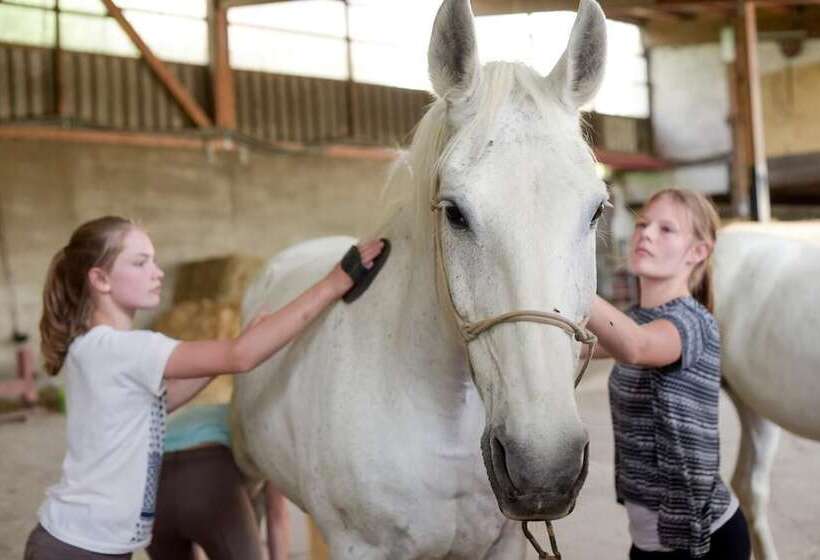 Nengshof   Haus Wildrose