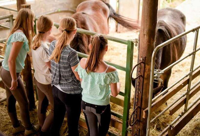 Nengshof   Haus Wildrose