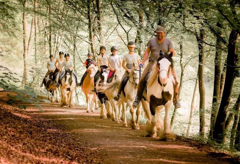 Nengshof   Haus Wildrose