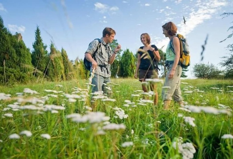Nengshof   Haus Wildrose