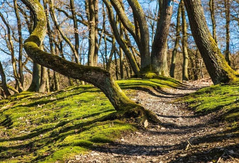 Nengshof   Haus Wildrose