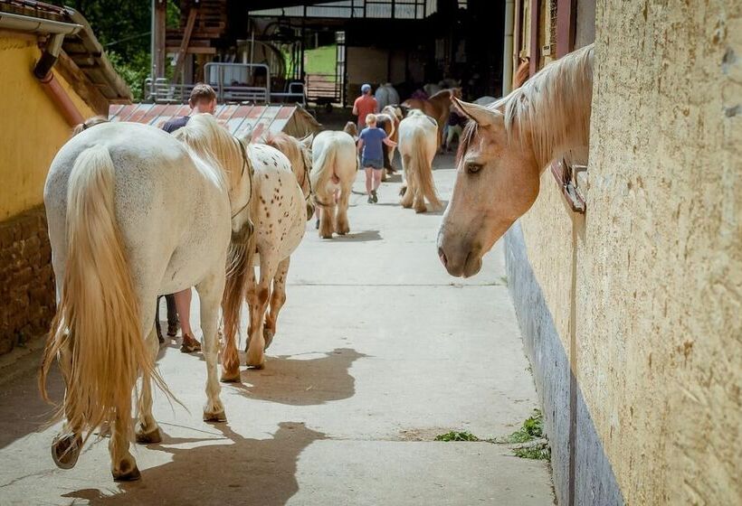 Nengshof   Haus Wildrose