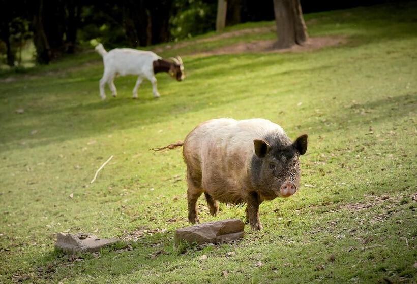 Nengshof   Haus Wildrose