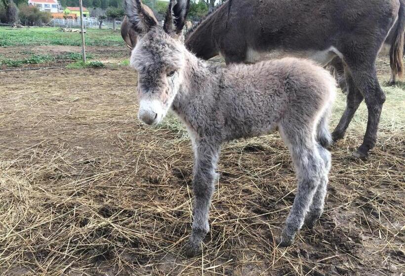 펜션 Asinerie Kuleni