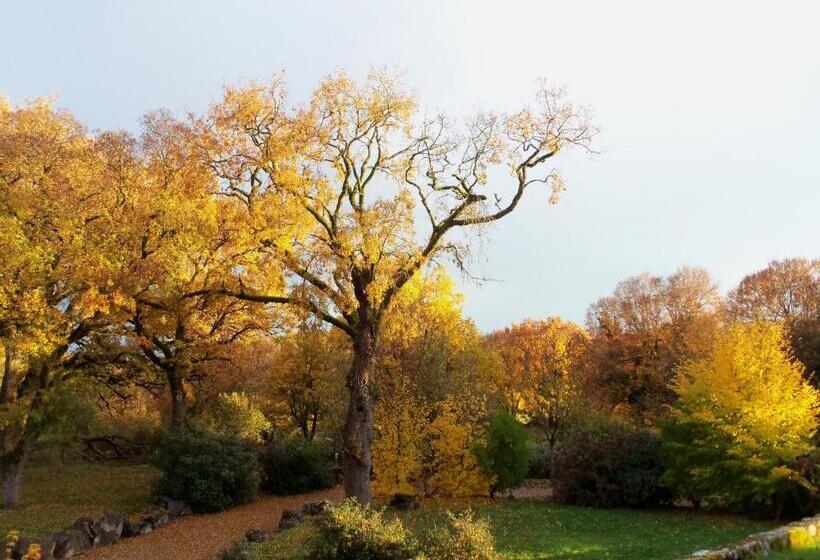 Пансион Chambres Et Jardin De Pierres