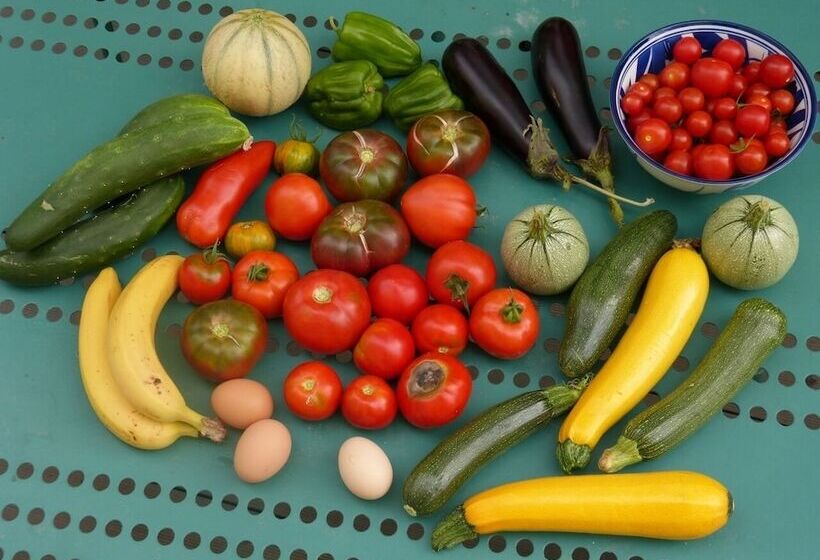 膳宿费 Domaine De L'estuaire