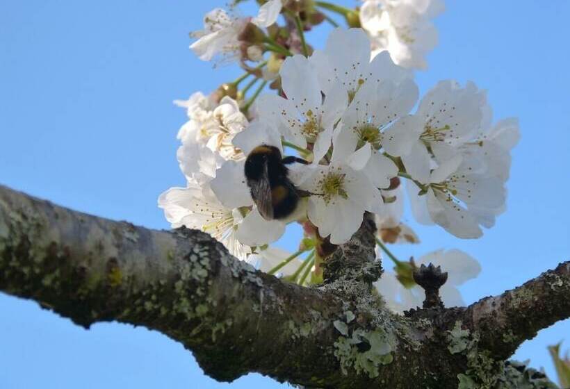 膳宿费 Domaine De L'estuaire