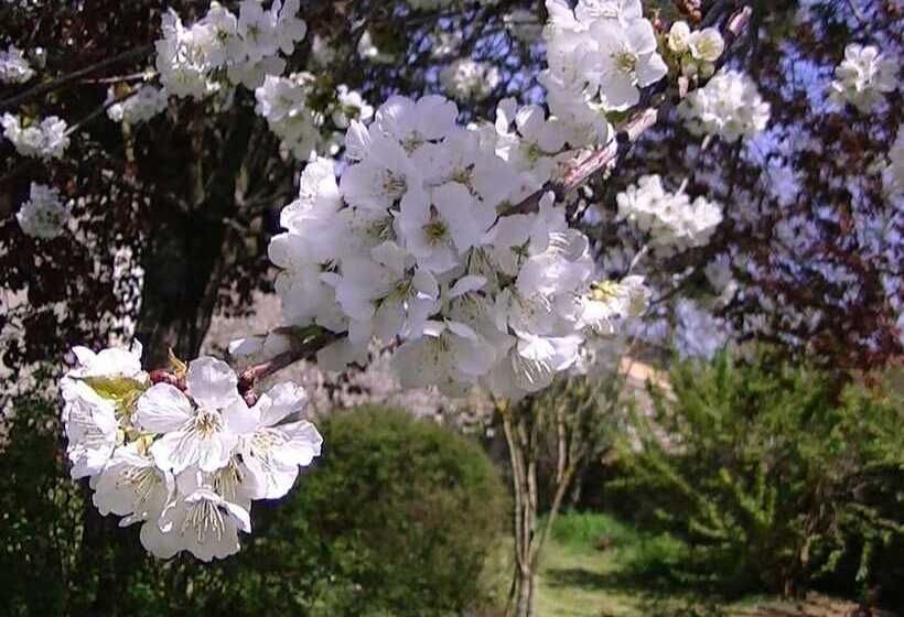 膳宿费 Domaine De L'estuaire