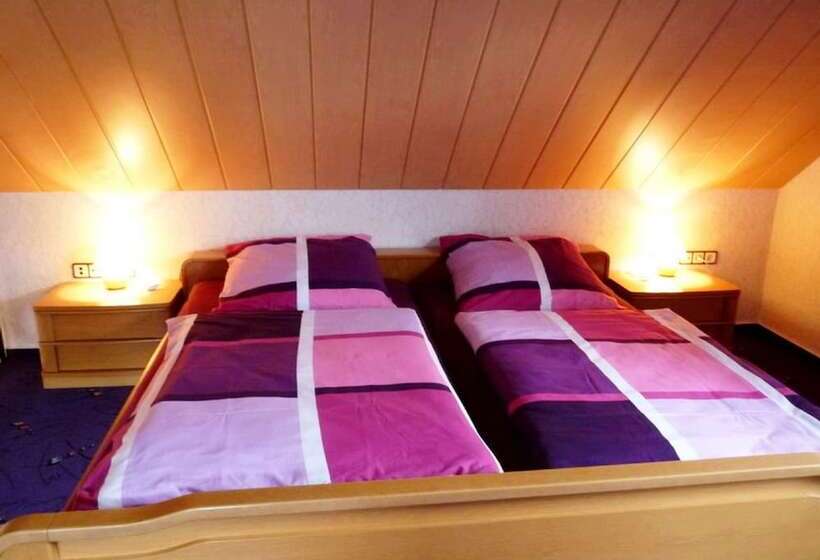 بنسيون Ferienhaus & Nurdachhaus Rothaargebirge