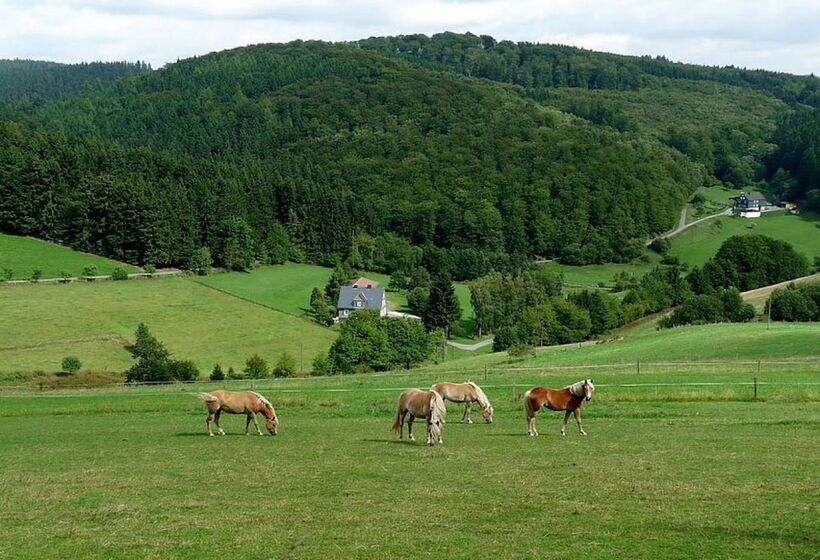 펜션 Ferienhaus & Nurdachhaus Rothaargebirge