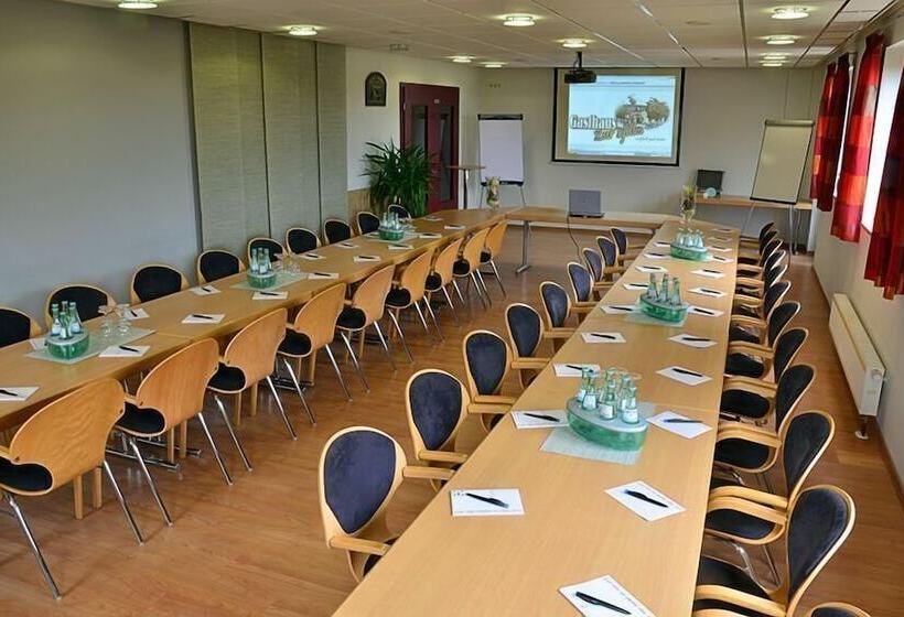 Пансион Gasthaus Zur Pfalz