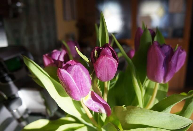 펜션 Gasthof Bauer