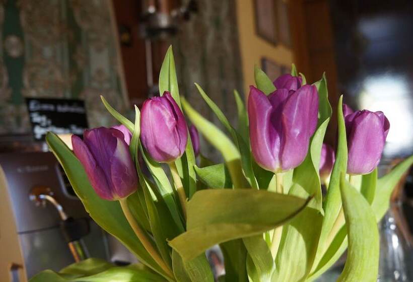 펜션 Gasthof Bauer