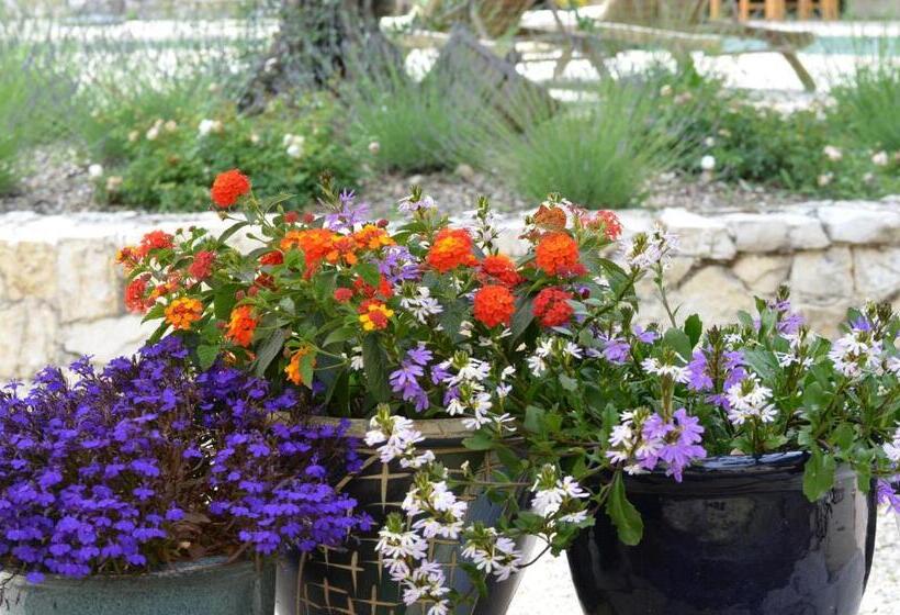 펜션 Hameau D Hôtes La Roseraie Drôme