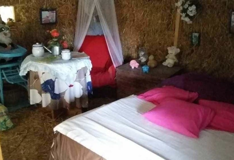 Пансион Insolites Du Bonheur De Vivre