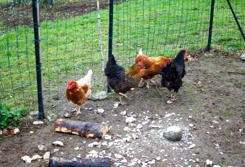 膳宿费 Keryanti Domaine De Lesleac'h