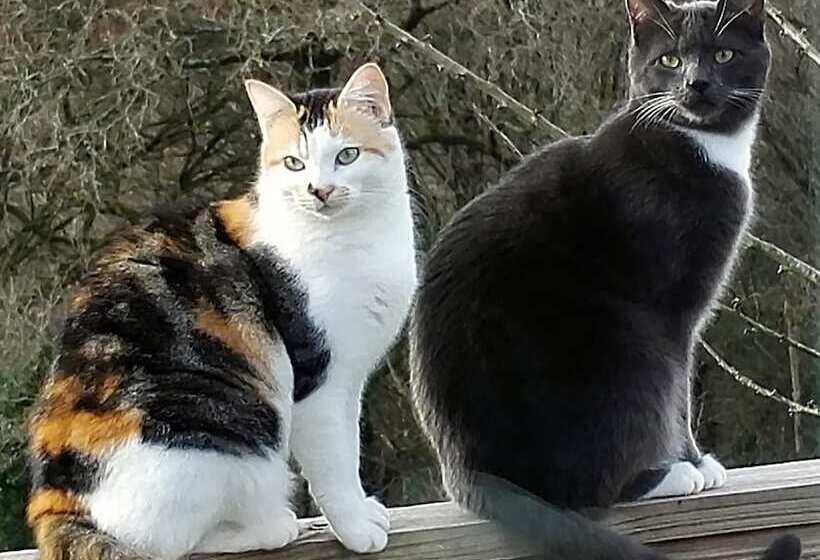 膳宿费 Keryanti Domaine De Lesleac'h