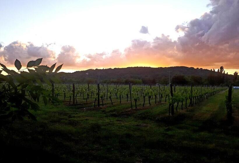 ペンション La Carreterie  Maison De Famille{s}