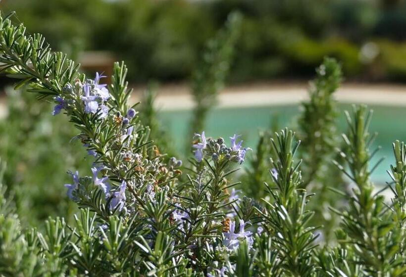 ペンション La Carreterie  Maison De Famille{s}