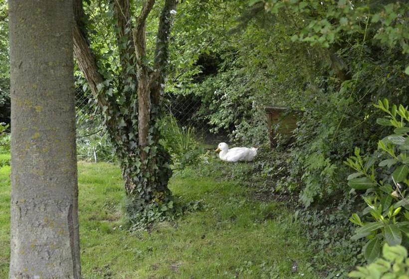 Пансион La Grenouillere