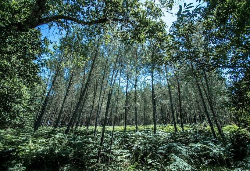 بنسيون Le Moulin Vieux