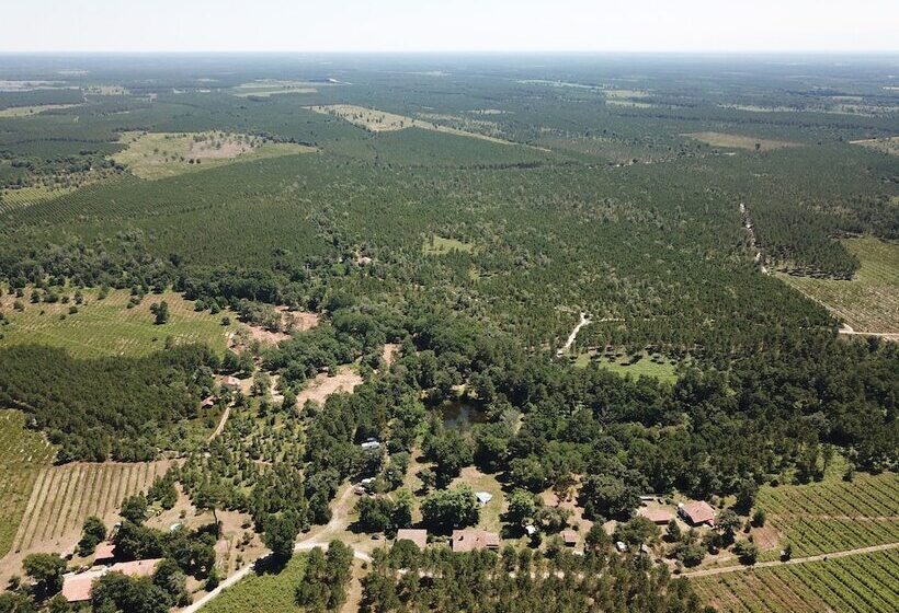 بنسيون Le Moulin Vieux