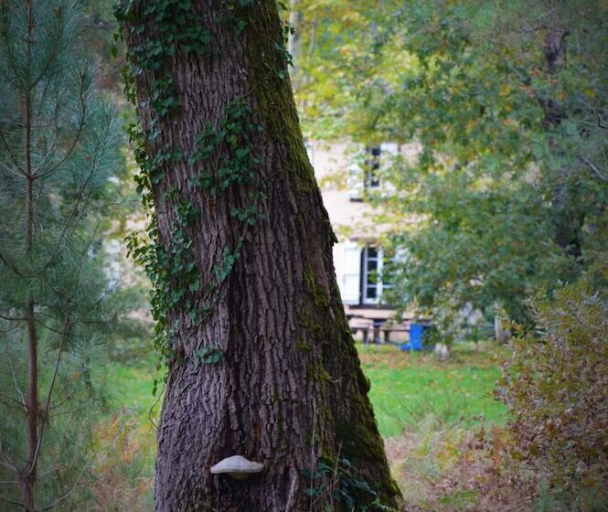 بنسيون Le Moulin Vieux