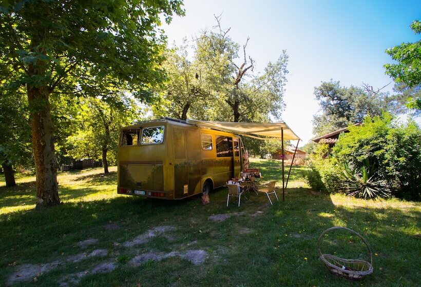 بنسيون Le Moulin Vieux