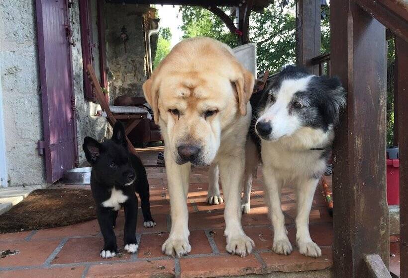 بنسيون Le Peyrail