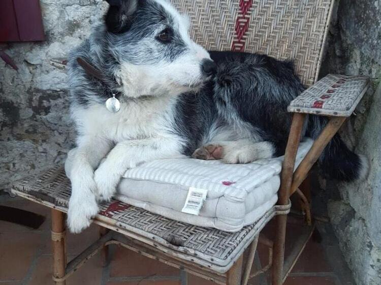 بنسيون Le Peyrail