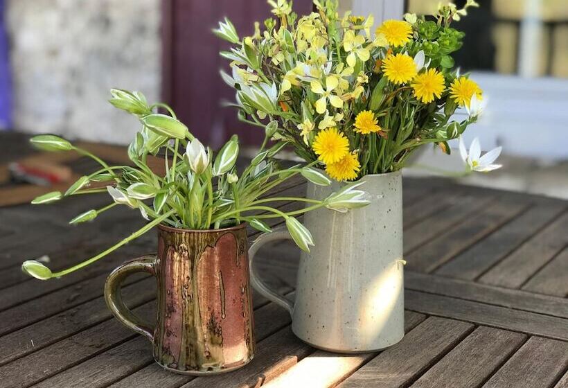 بنسيون Le Peyrail