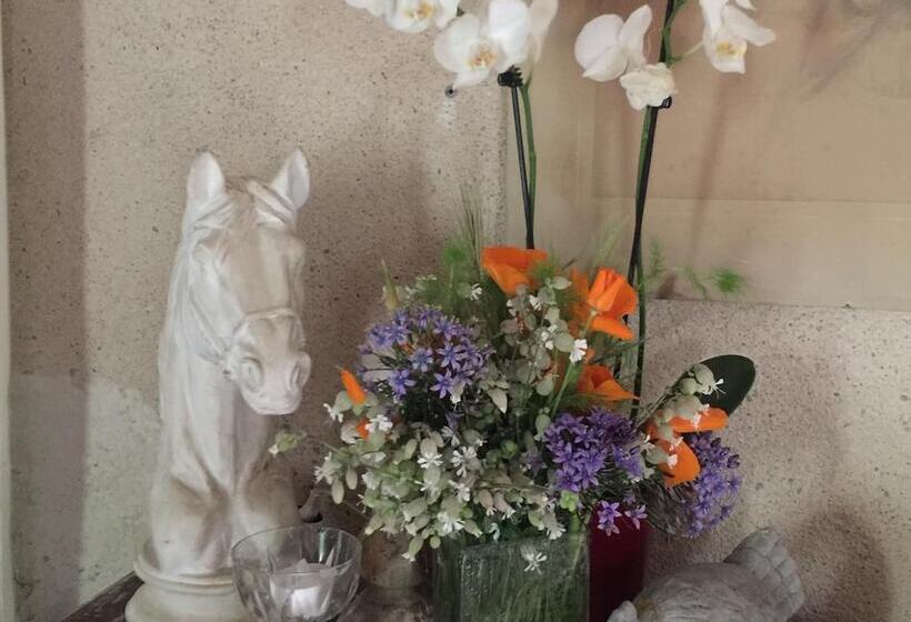 بنسيون Le Peyrail